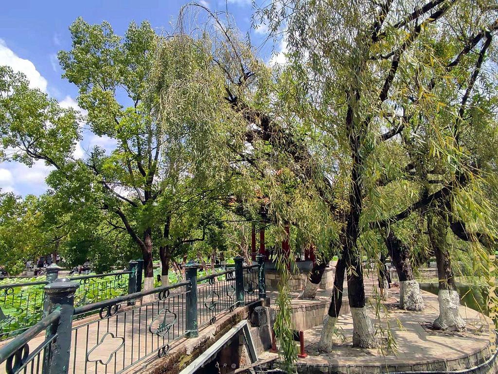 Kunming - Parc Cuihu - 54.jpg